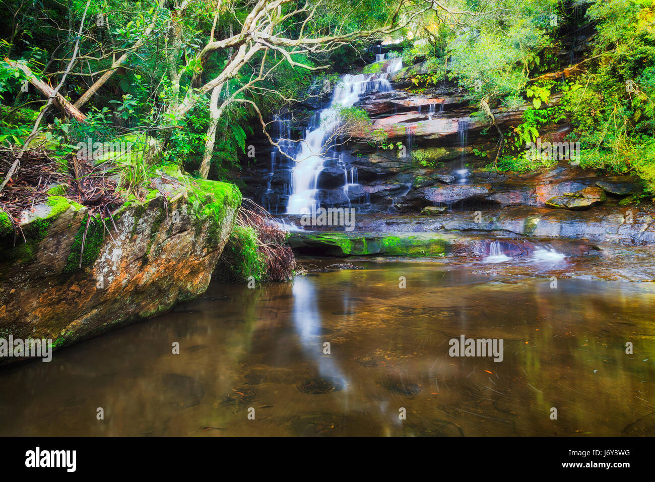 Australian foresta pluviale sempreverde di felci e gomma-alberi su NSW Central Coast - cascata somersby caduta massi di arenaria di rock pool. Foto Stock