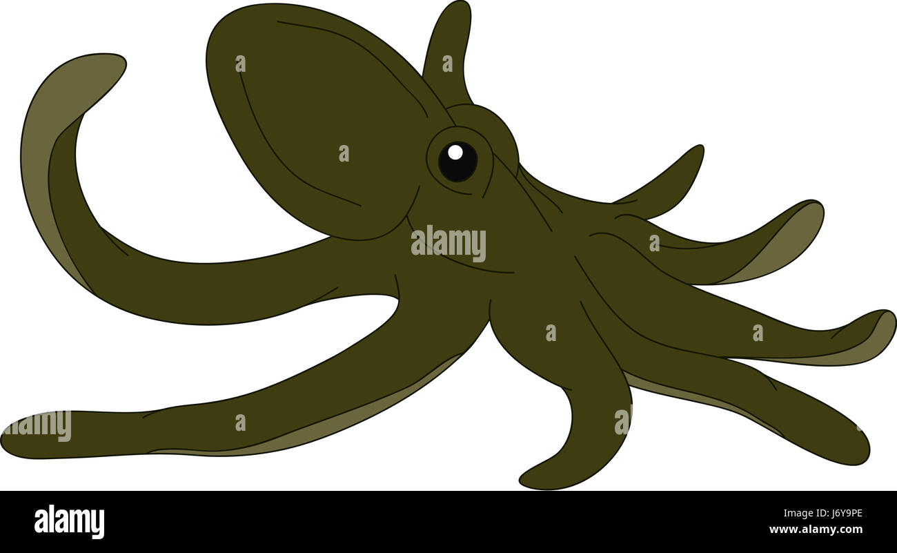 Illustrazione paint disegnare octopus cartoon colore isolato di arte grafica selvaggio animale Foto Stock