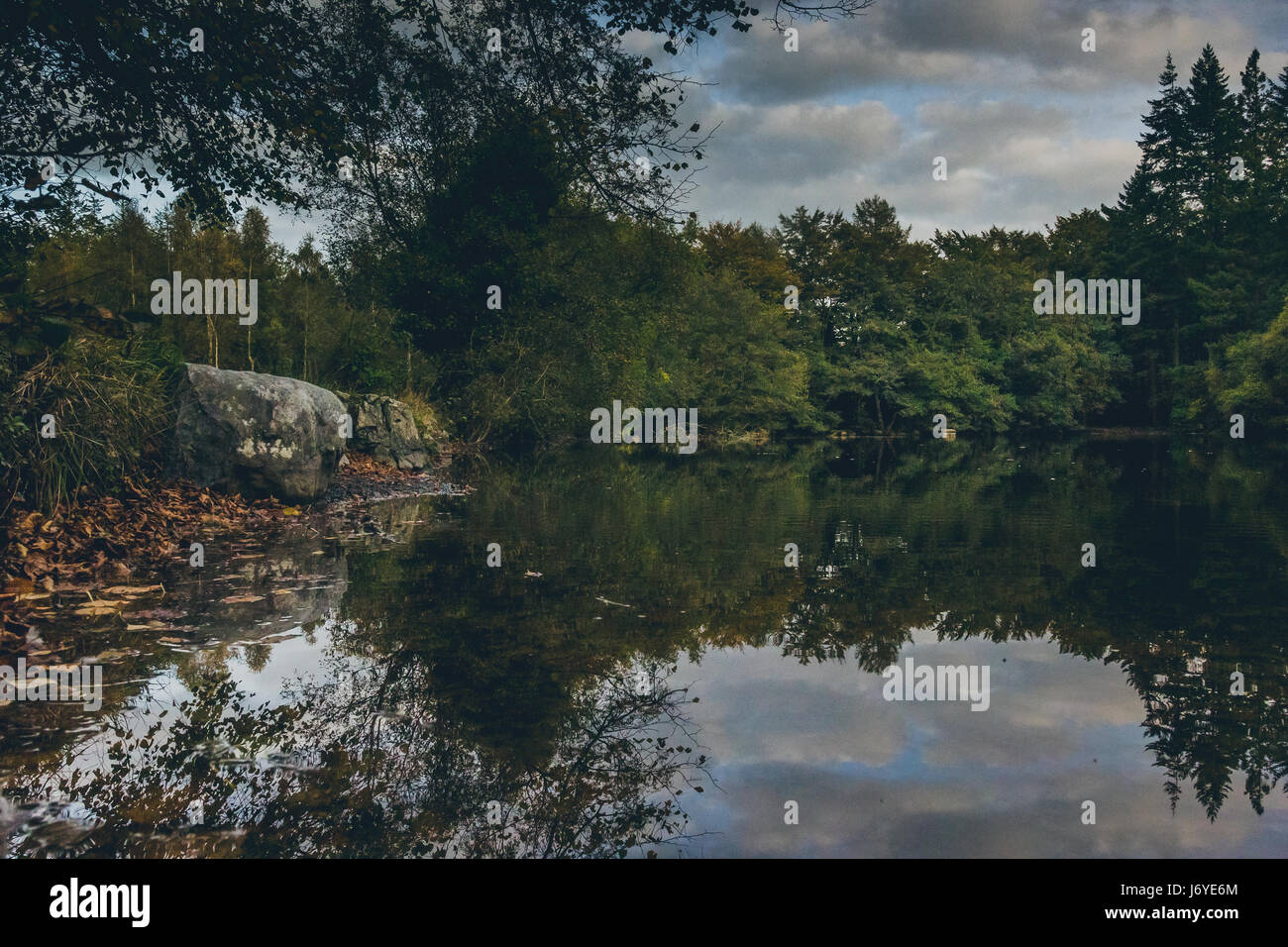 Un chiaro corpo di acqua in primo piano circondato da un lussureggiante foresta verde all'orizzonte, con bellissimi riflessi degli alberi sull'acqua. Foto Stock
