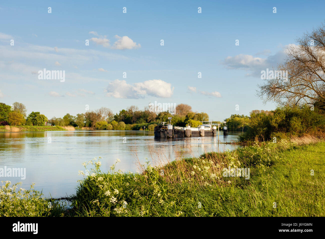 Una chiatta fluviale sul fiume De Schelde in Belgio. Foto Stock