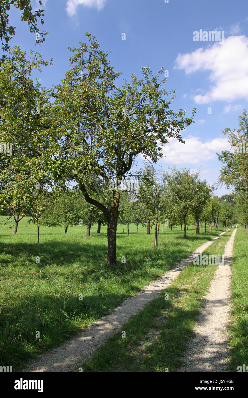 Natura-santuario di ecologia biotop orcharding frutticoltura reno di conservazione Foto Stock