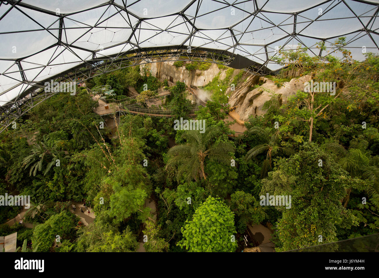Regno Unito, Cornwall, St Austell, Bodelva, Eden Project, il Rainforest Biome, un ampio angolo di visione verso il basso dalla piattaforma sopraelevata Foto Stock