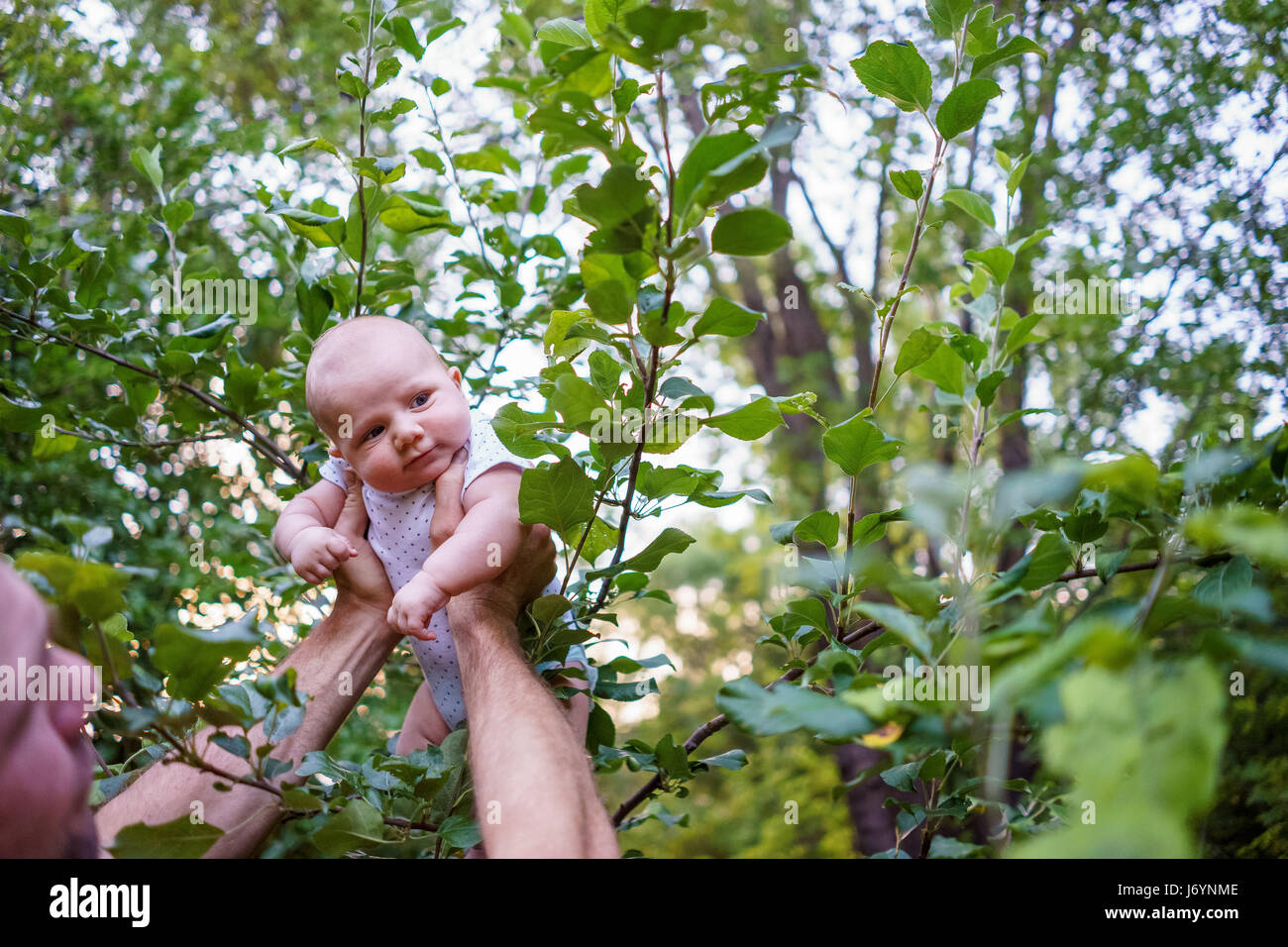 Padre holding baby boy in aria Foto Stock