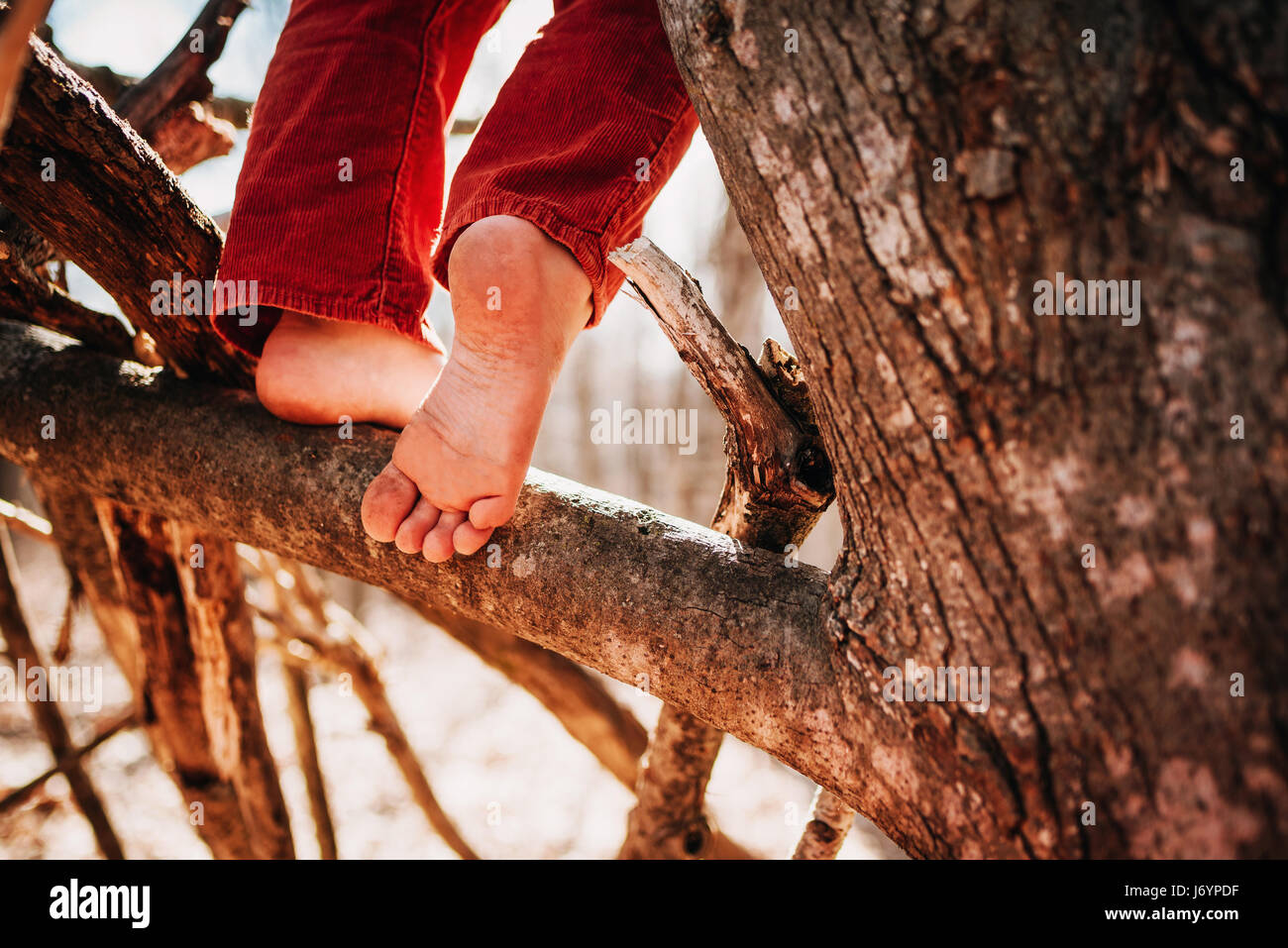 Ragazzo sale su un albero a piedi nudi Foto Stock