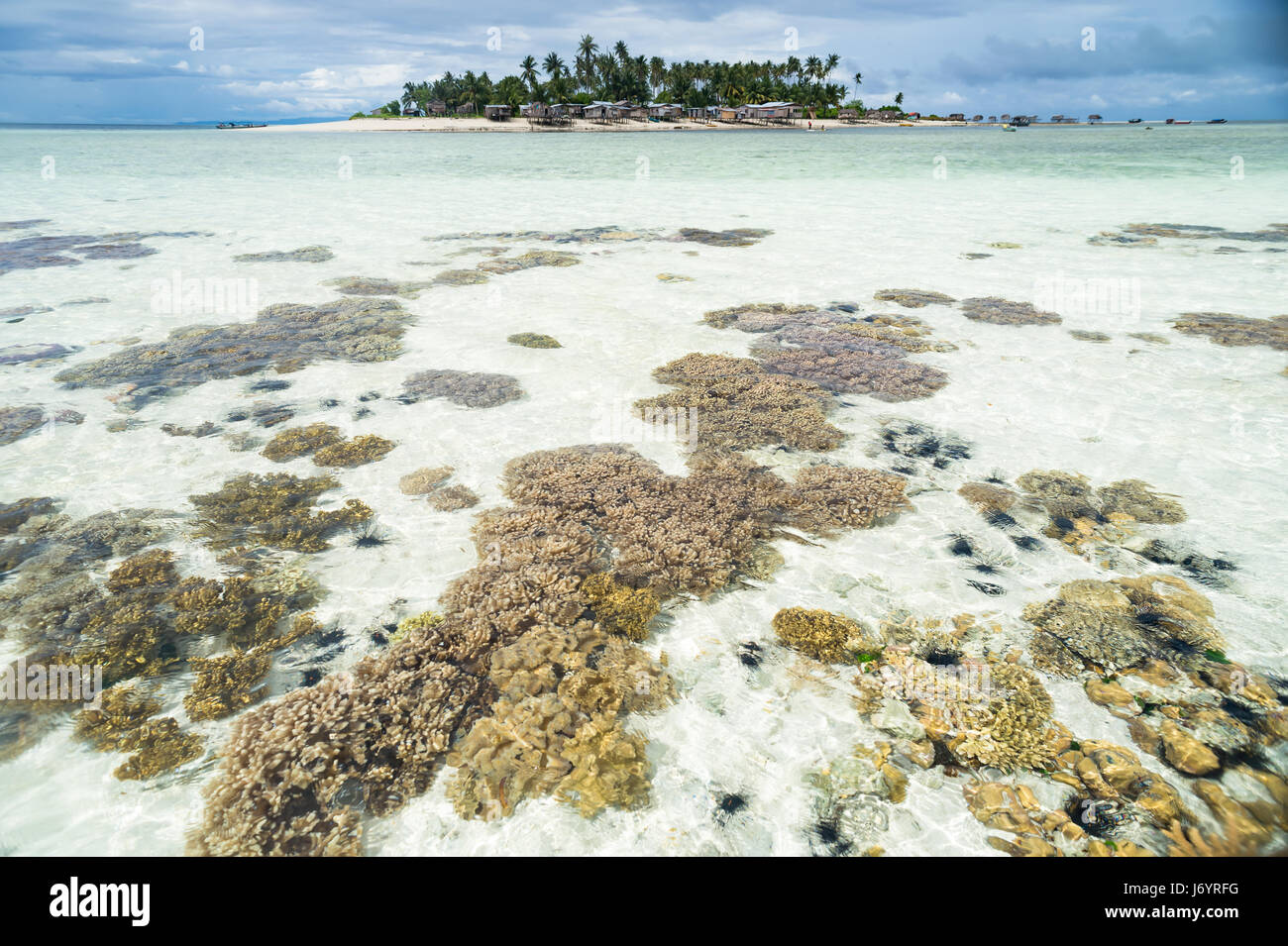 Coral Reef e isola tropicale, Semporna, Sabah, Malaysia Foto Stock