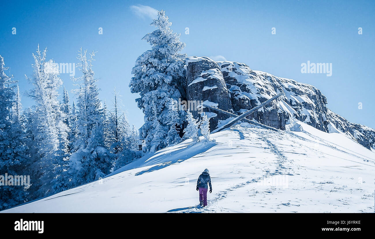 Donna escursioni in cima a una montagna, Vail, Colorado, Stati Uniti Foto Stock