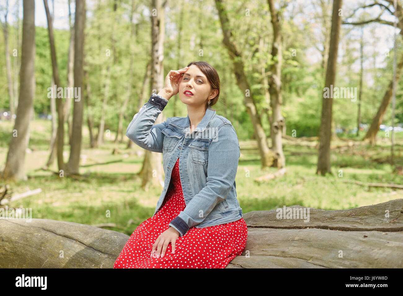 Una giovane donna che indossa un abito rosso, jeans camicia seduta sul legno vecchio e cercando in horiyont in una foresta. Foto Stock