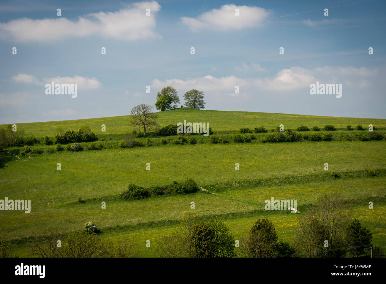 Metà collina tra Battlesbury e Scratchbury fortini di collina vicino a Warminster, Wiltshire, Regno Unito Foto Stock