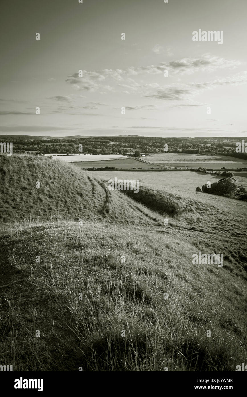 Scratchbury Iron Age Fort collina vicino a Warminster, Wiltshire, Regno Unito Foto Stock
