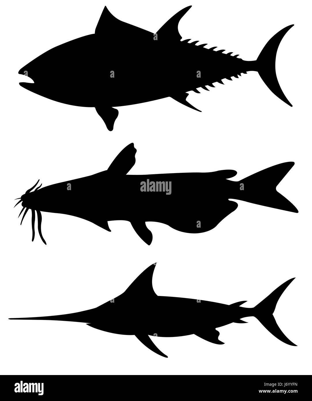 Insieme di diversi grandi pesci sagome isolato su bianco Foto Stock