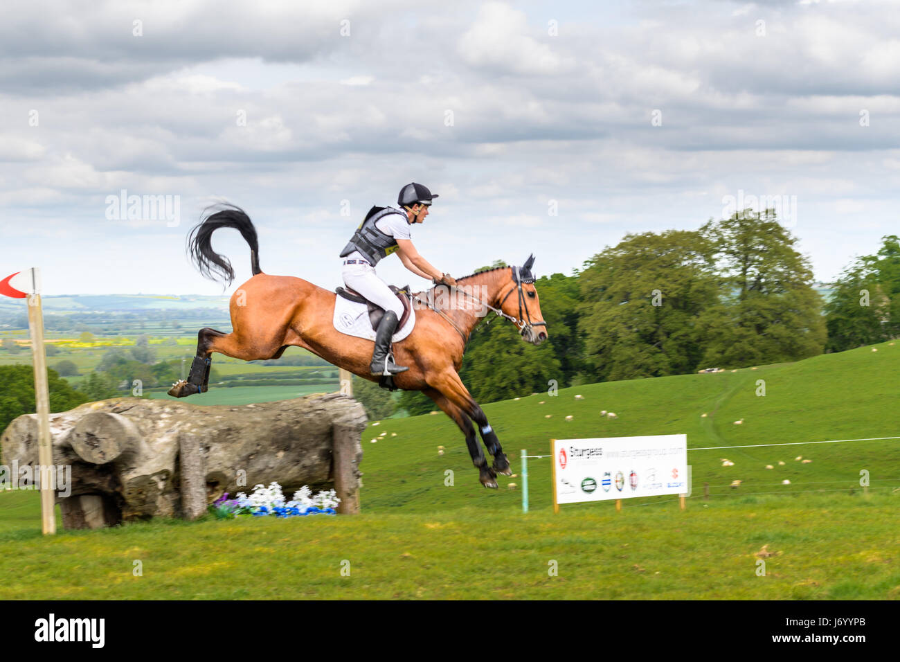 Rafael Losano e il suo cavallo Twizted Syster con la sua coda di cancellare un tronco di albero ostacolo con il Welland valle in background su un soleggiato e cloud Foto Stock