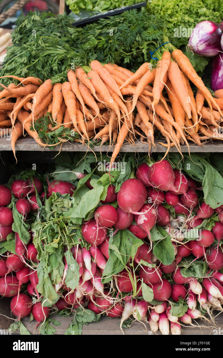 Verdure organiche. ravanelli e carote per la vendita a Daylesford Organic farm shop festival estivi. Daylesford, Cotswolds, Gloucestershire, Inghilterra Foto Stock