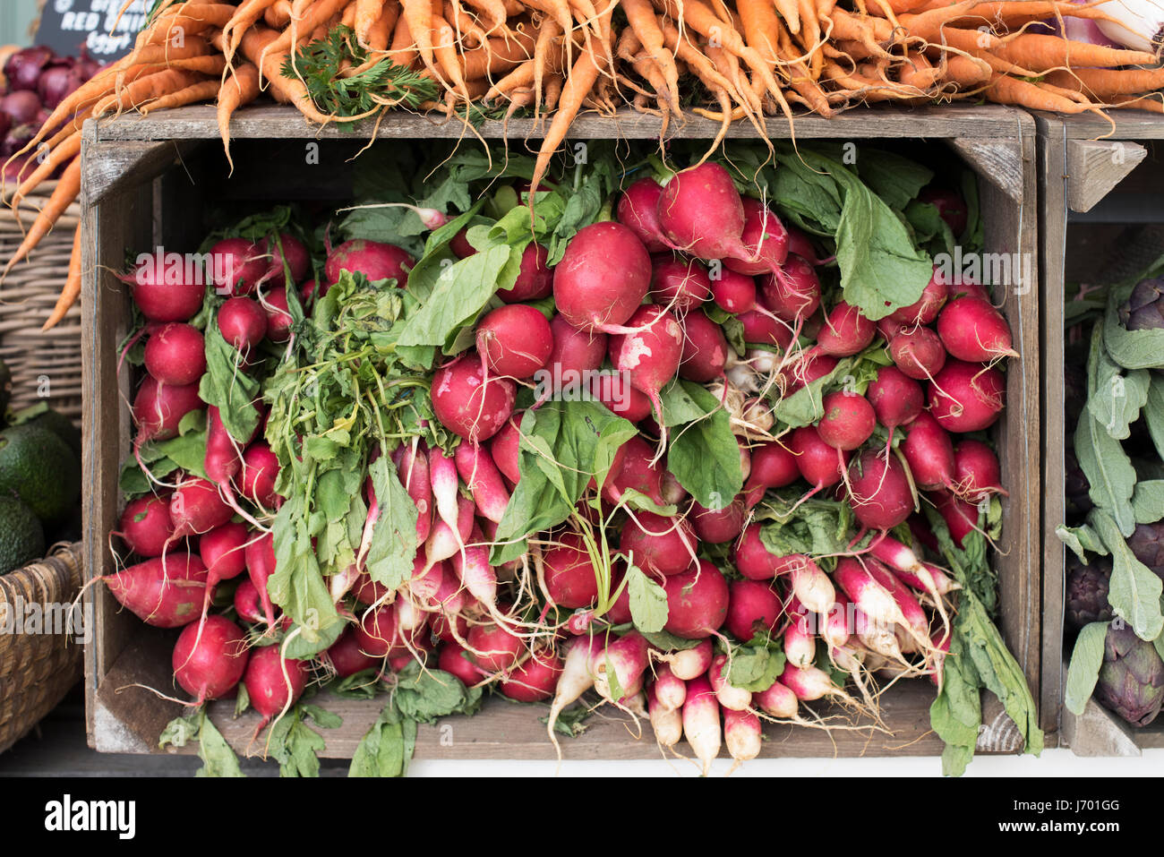 Verdure organiche. ravanelli e carote per la vendita a Daylesford Organic farm shop festival estivi. Daylesford, Cotswolds, Gloucestershire, Inghilterra Foto Stock