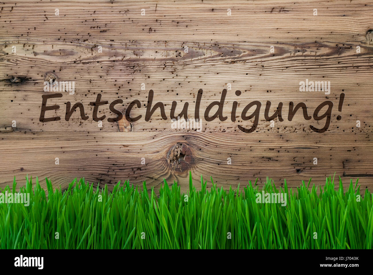 Testo in tedesco significa Entschuldigung Spiacenti. Stagione Primavera biglietto di auguri. Invecchiato in legno con sfondo Gras. Foto Stock