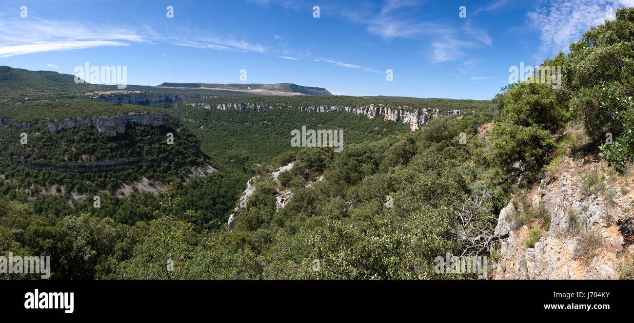 Spagna riserva Canyon verde erba natura albero naturale di alberi di pietra splende shine Foto Stock