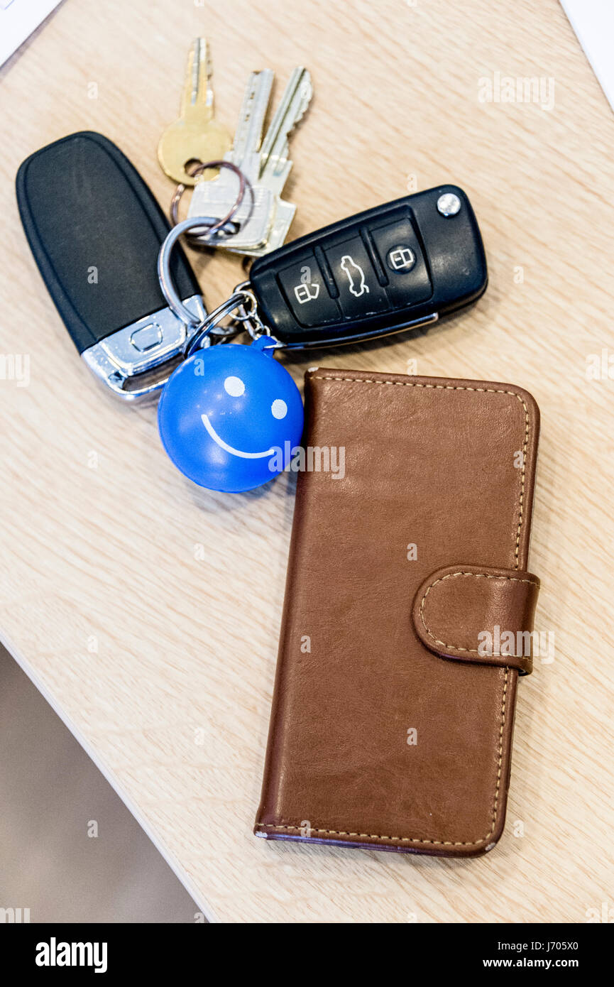 Business chiave catena Foto Stock