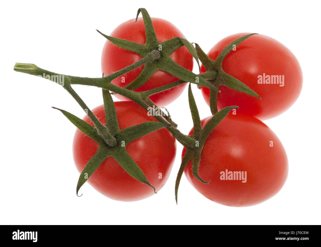 Cibo aliment levetta opzionale vegetale alimentare pomodoro aliment fotografica indoor opzionale Foto Stock