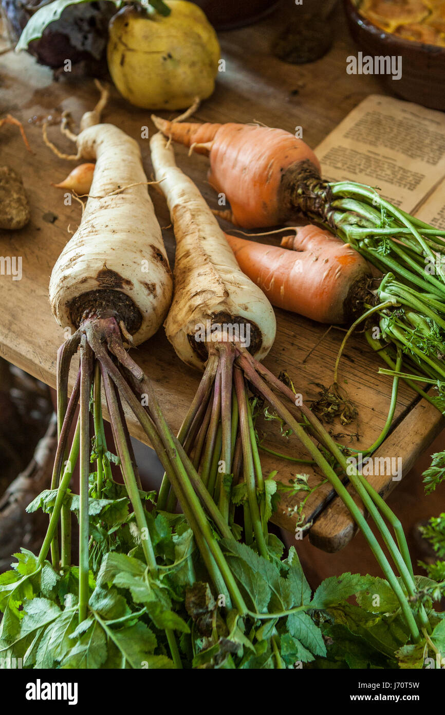 Old Sturbridge Village - una rievocazione storica di un 1830 New England town. Foto Stock