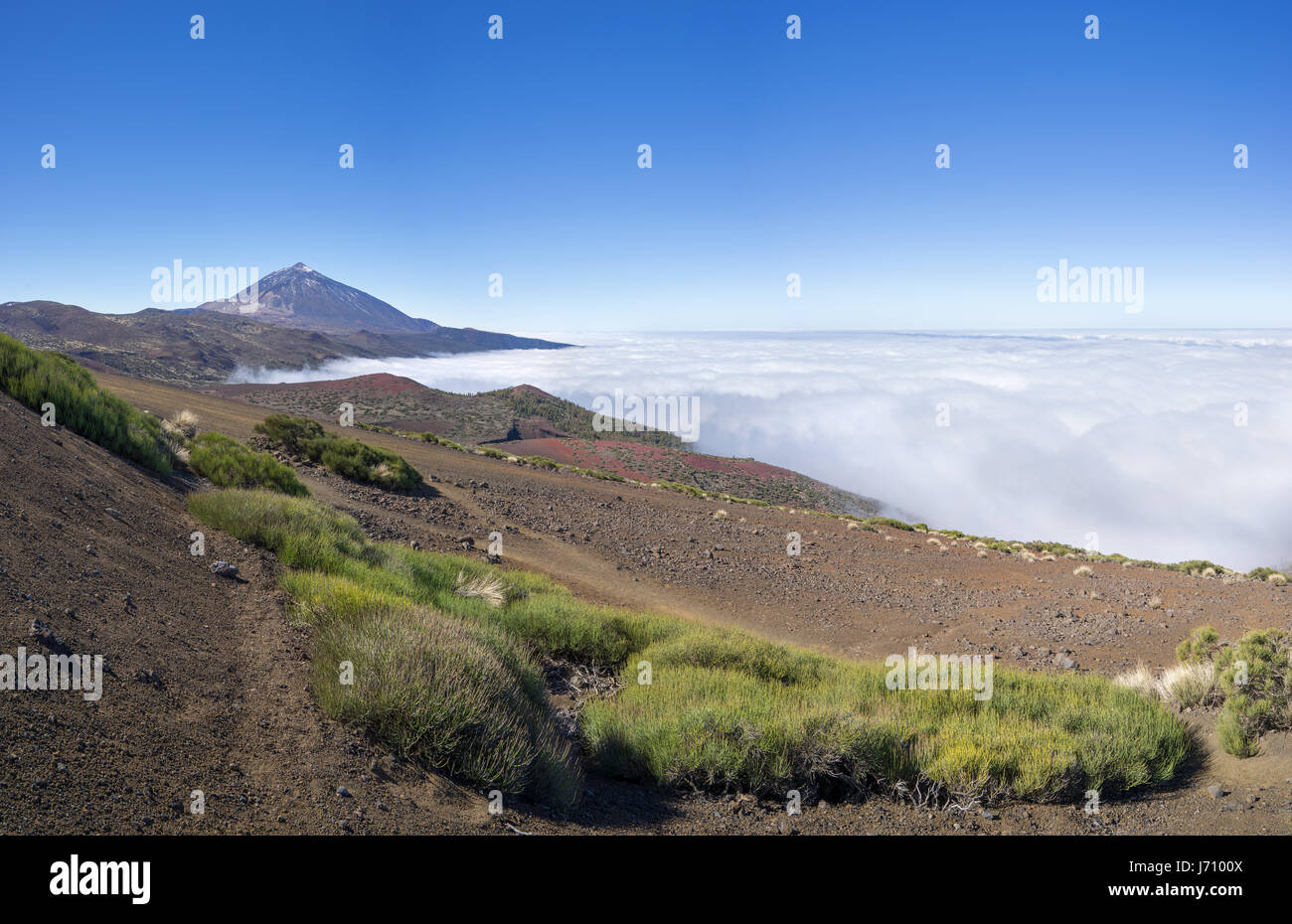 Parco nazionale di Tenerife con il Teide Foto Stock