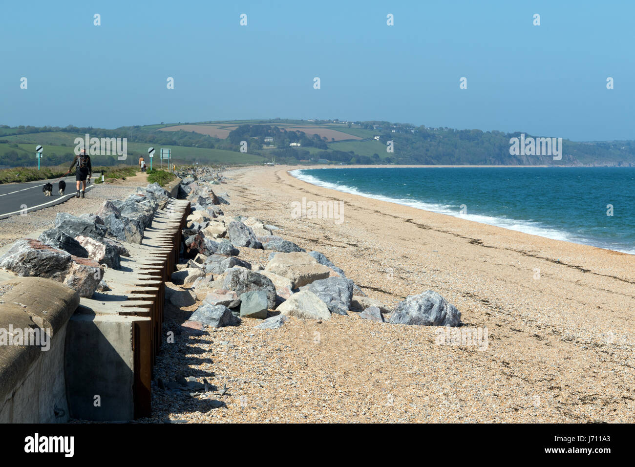 Uomo che cammina cane lungo Slapton Sands Foto Stock