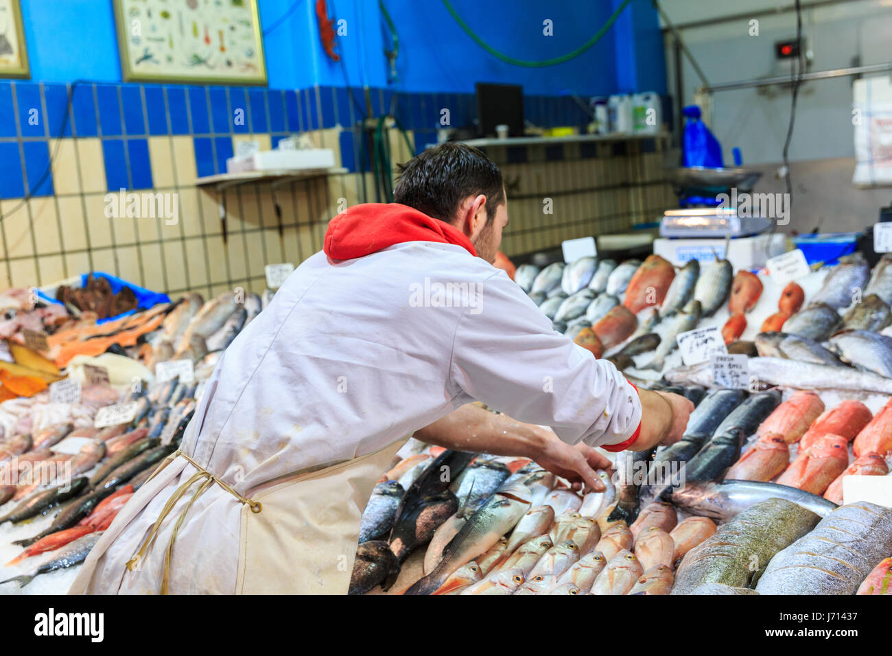 Fish monger disponendo il pesce fresco sul ghiaccio, esposte per la vendita Foto Stock