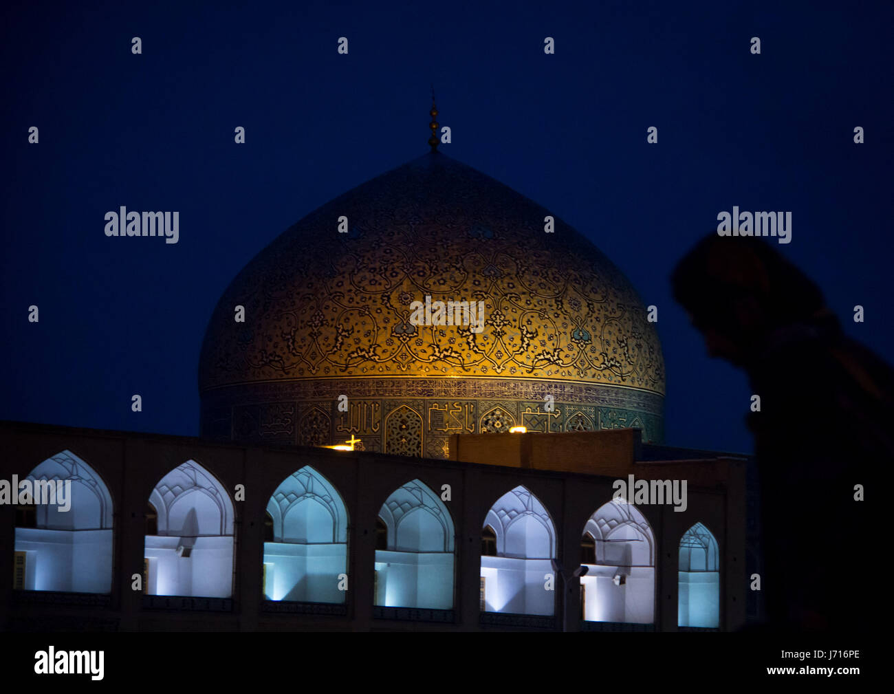 Lo Sceicco Lotfollah moschea, Elazig, Turchia Foto Stock