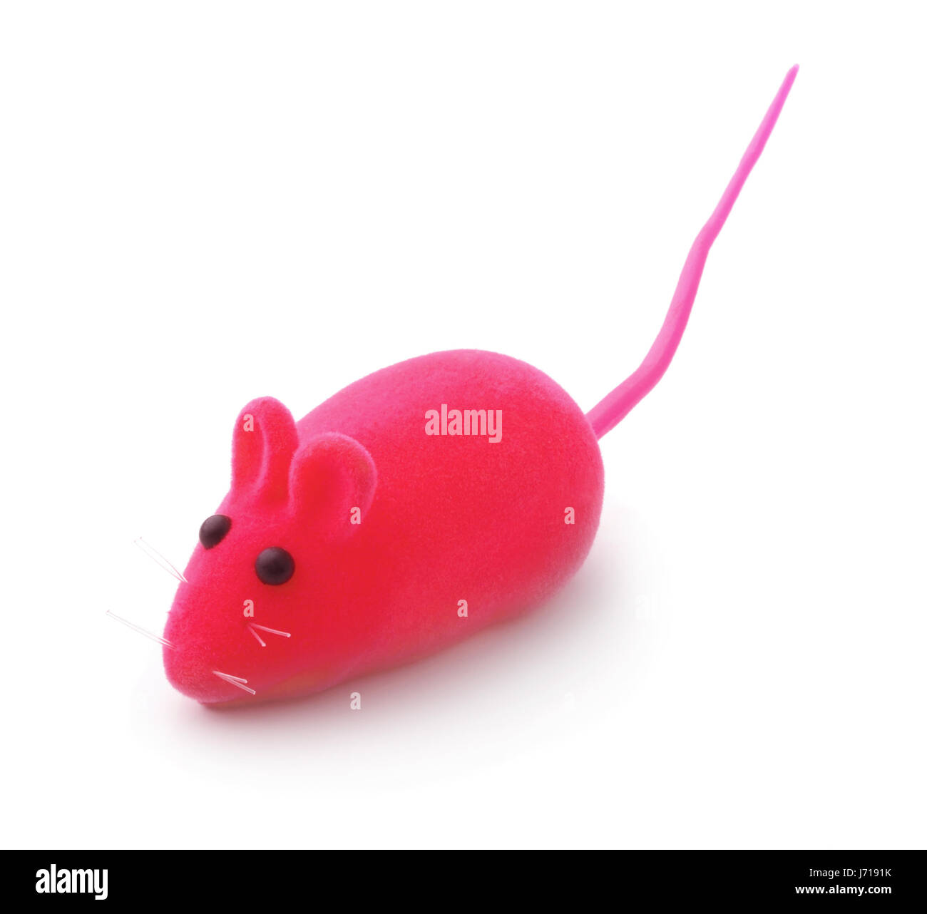Red pet mouse giocattolo isolato su bianco Foto Stock