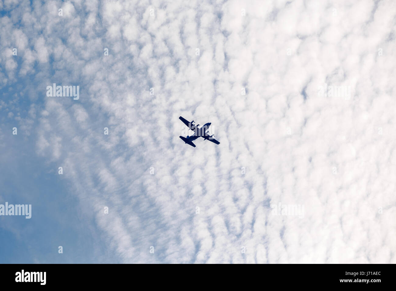 Una brigata multinazionale di paracadutisti prendere parte al "Risposta swift' airborne formazione presso il Smardan Area Formazione in Romania, il 26 agosto 2015. Alcuni 5.000 soldati provenienti da 11 nazioni della NATO di partecipare in contemporanea multinazionale operazioni aviotrasportate in tutta la Germania, l'Italia, la Bulgaria e la Romania. Foto Stock