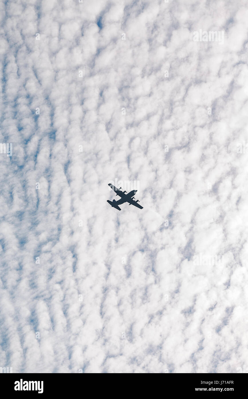 Una brigata multinazionale di paracadutisti prendere parte al "Risposta swift' airborne formazione presso il Smardan Area Formazione in Romania, il 26 agosto 2015. Alcuni 5.000 soldati provenienti da 11 nazioni della NATO di partecipare in contemporanea multinazionale operazioni aviotrasportate in tutta la Germania, l'Italia, la Bulgaria e la Romania. Foto Stock