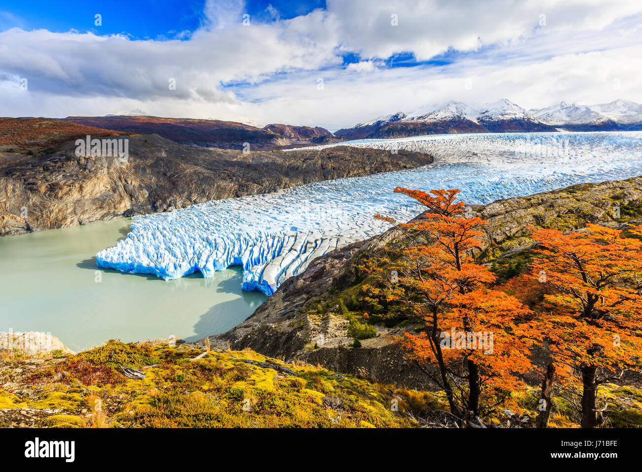 Parco Nazionale di Torres del Paine Cile. Ghiacciaio Grey. Foto Stock