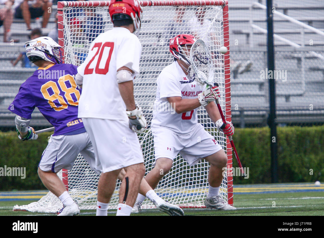 Newark, DE, STATI UNITI D'AMERICA. 21 Maggio, 2017. Università di Maryland portiere DAN MORRIS (8) in azione durante la seconda metà di un 2017 NCAA Division I uomini Lacrosse Quarti di Finale partita tra #1 Maryland e #8 Albany domenica di maggio. 21, 2017 a Delaware Stadium di Newark, Delaware. Credito: csm/Alamy Live News Foto Stock