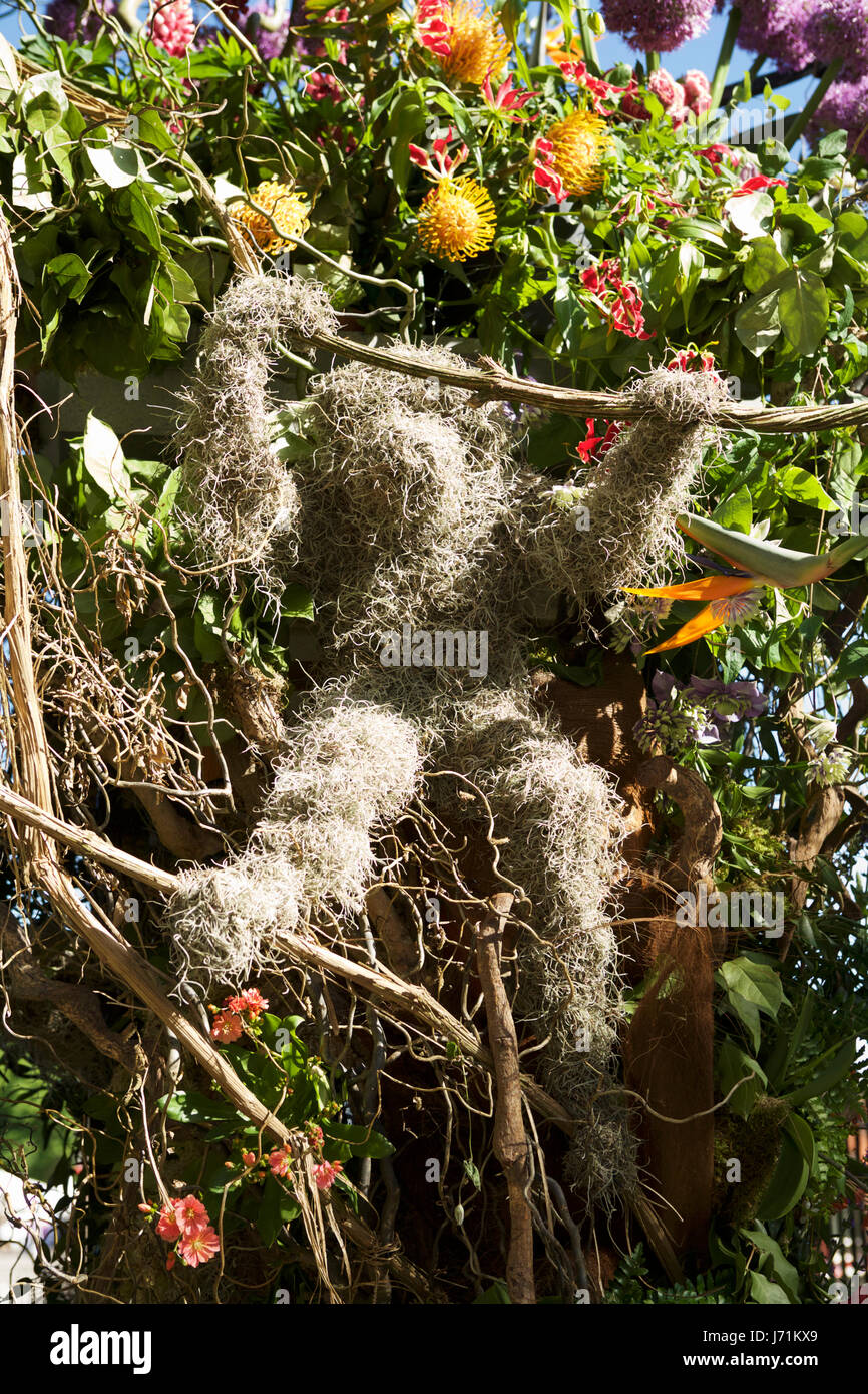 RHS Chelsea Flower Show di Londra, Regno Unito. 22 Maggio, 2017. Il Chelsea flower show cancelli di ingresso, mostrando un fiore bellissimo display. Il Chelsea Flower Show corre da 23 - 27 Maggio. Credito: Tony Farrugia/Alamy Live News Foto Stock