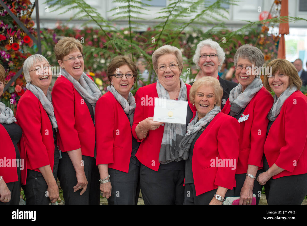 Il Royal Hospital Chelsea, Londra, Regno Unito. 23 Maggio, 2017. Il pinnacolo annuale del calendario orticola, RHS Chelsea Flower Show, apertura giorno pubblica del famoso in tutto il mondo mostrano il giardino con una grande folla che frequentano. Gold Medal Award per NAFAS. Credito: Malcolm Park editoriale/Alamy Live News. Foto Stock