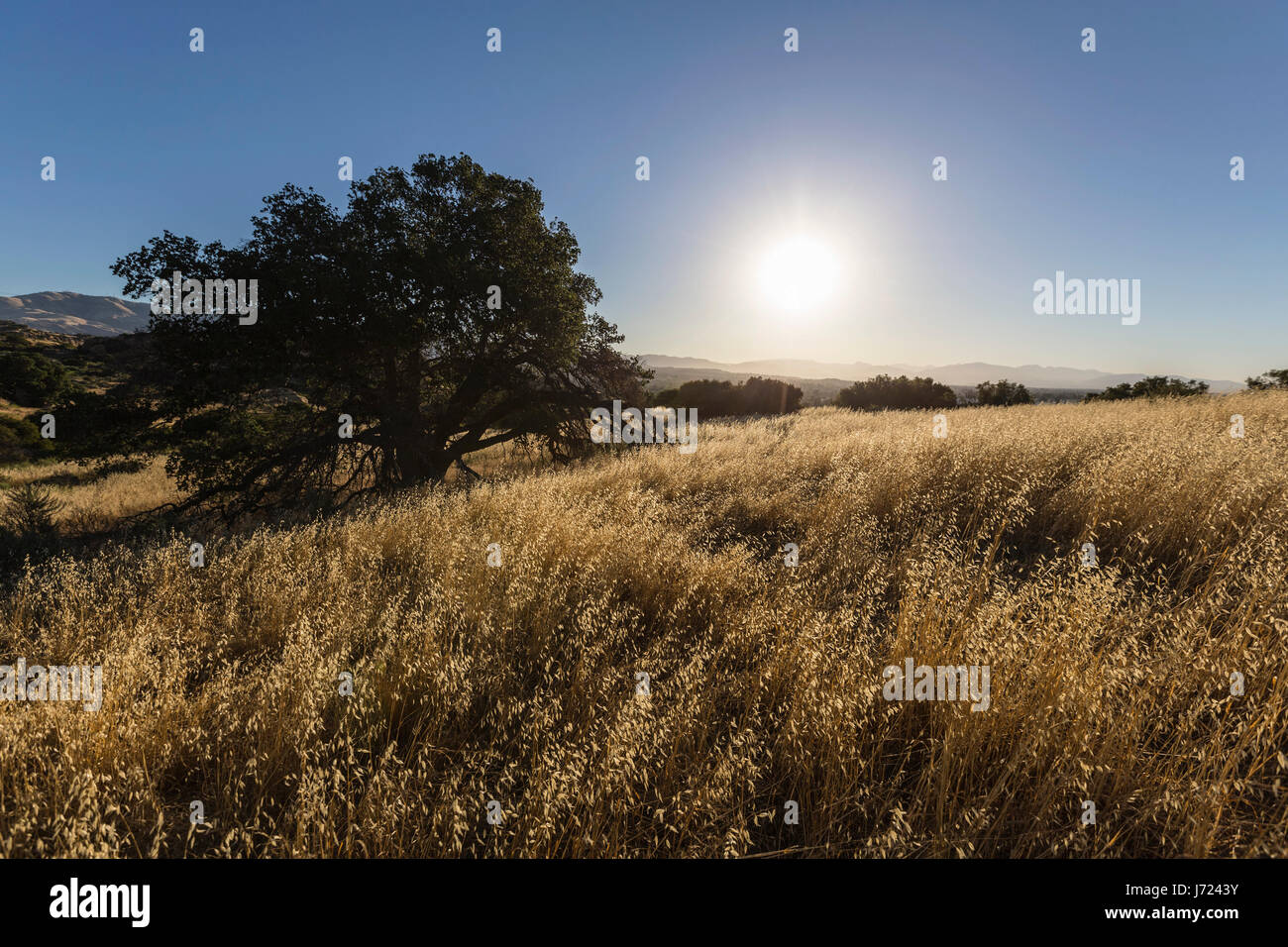 Vista la mattina a Santa Susana State Historic Park nella valle di San Fernando zona di Los Angeles, California. Foto Stock