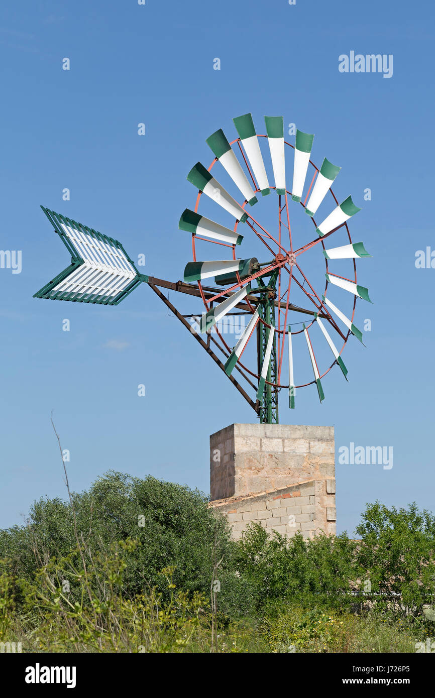 Mulino a vento vicino a Campos, Maiorca, SPAGNA Foto Stock