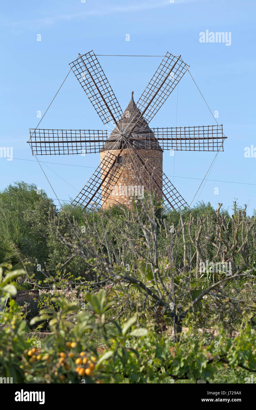 Mulino a vento vicino a Santanyi, Maiorca, SPAGNA Foto Stock