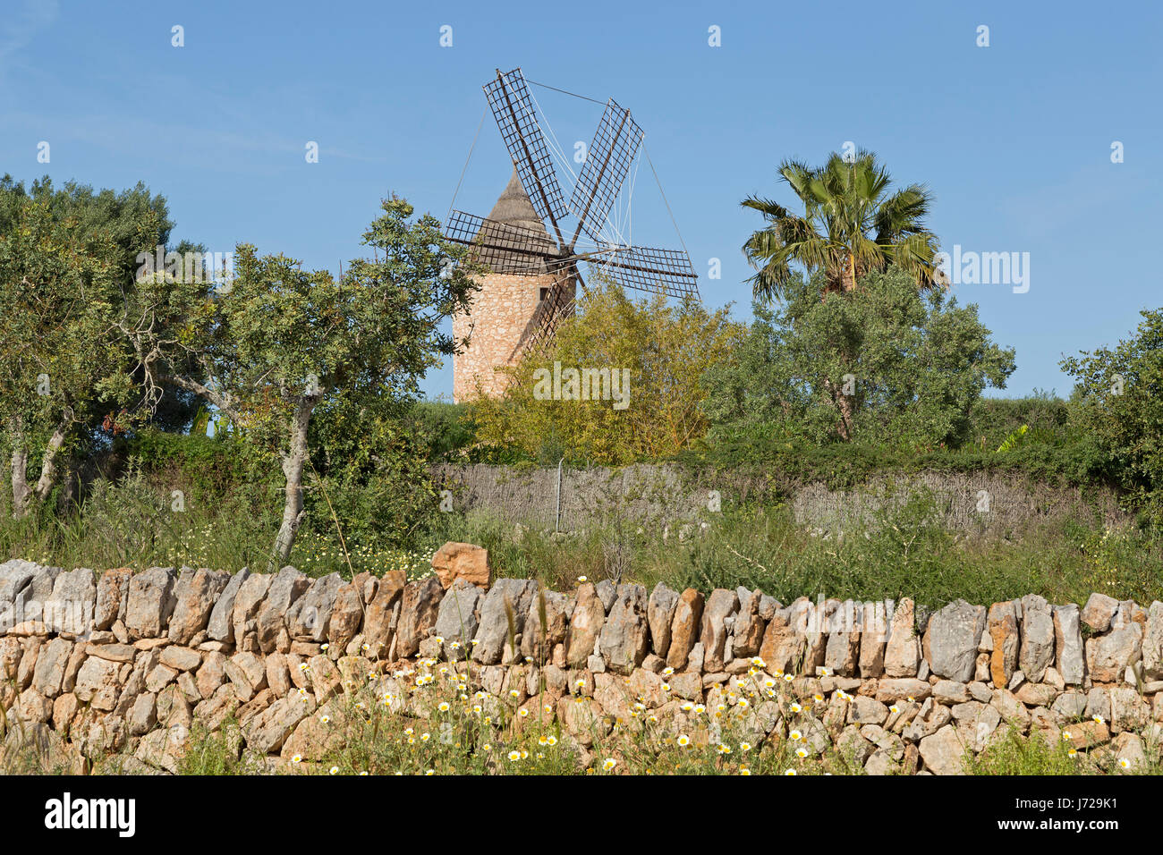 Mulino a vento vicino a Santanyi, Maiorca, SPAGNA Foto Stock