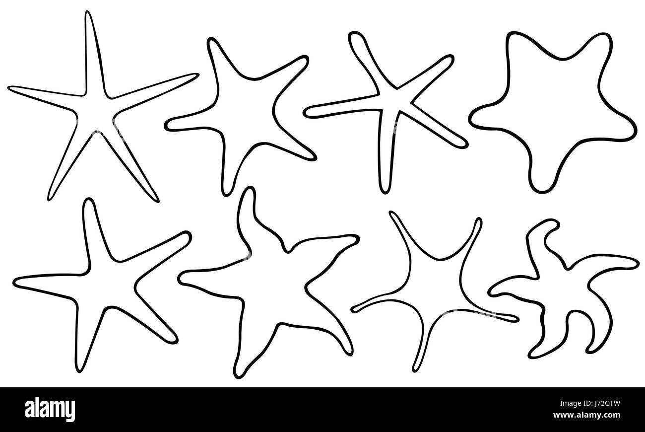 Insieme di diversi starfish isolato su bianco Foto Stock