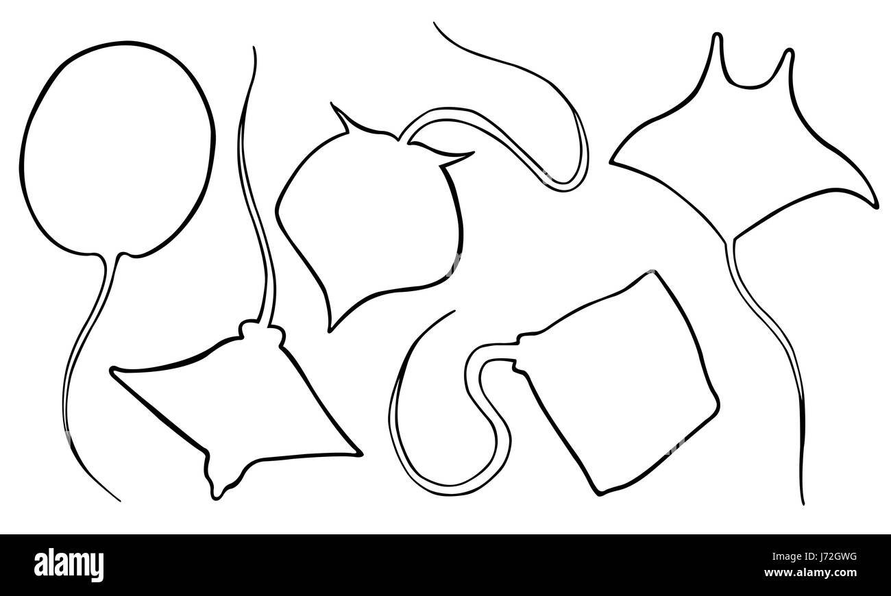 Set di diverse sagome stingray isolato su bianco Foto Stock