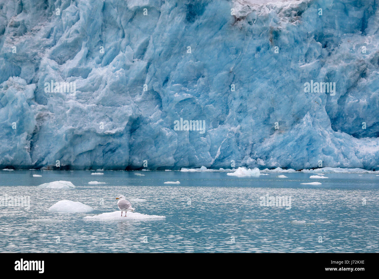 Arctic ice glacier blu ambiente ambiente vasto deserto di ghiaccio artico Foto Stock