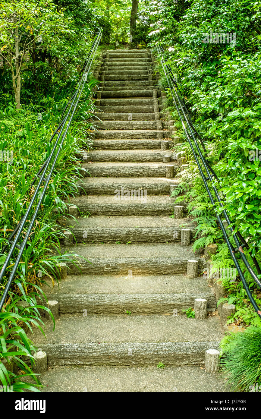 Un giardino percorso verso una destinazione sconosciuta Foto Stock