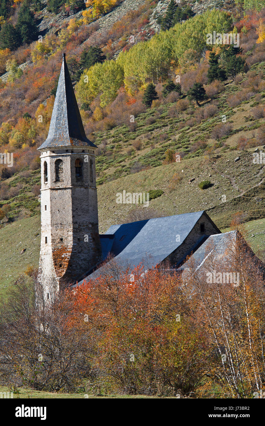 Foglia religione viaggi religiosi chiesa alberi tree park terra terra humus Foto Stock