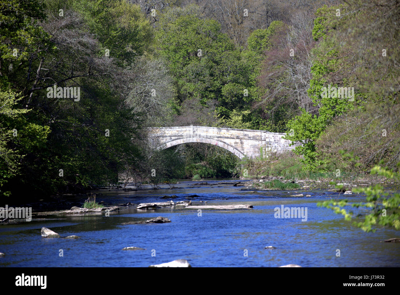 Chatelherault Country Park fiume Avon Fairholm Bridge visto dal Ponte Verde Foto Stock