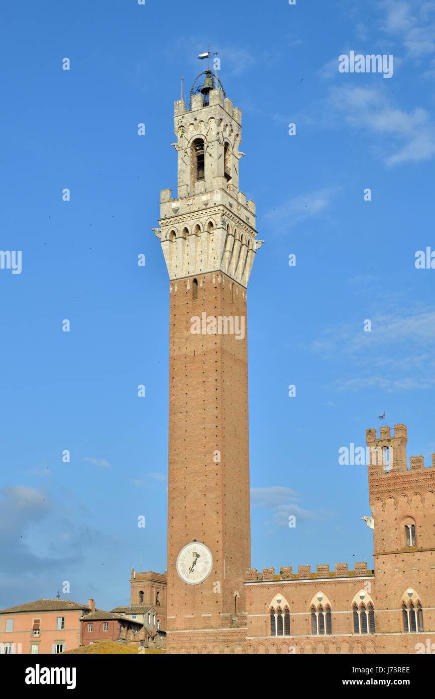 Torre del Mangia a Siena, Italia Foto Stock
