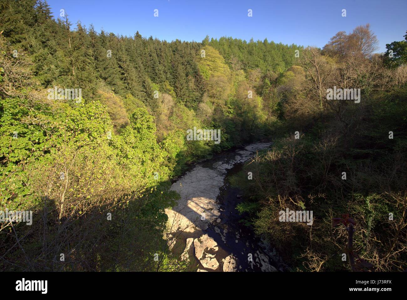 Chatelherault Country Park fiume Avon Gorge con il calcare riverbed mostra a causa della siccità Foto Stock