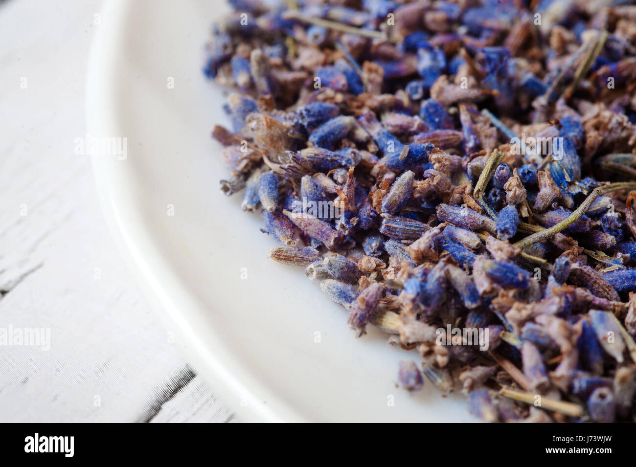 La piastra a secco con fiori di lavanda su bianco Foto Stock