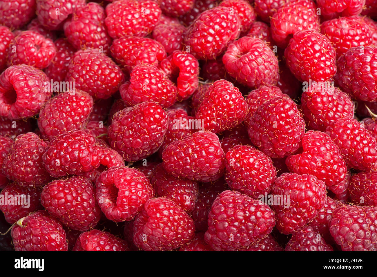 Deliziosa di prima classe di lamponi freschi sfondo Foto Stock