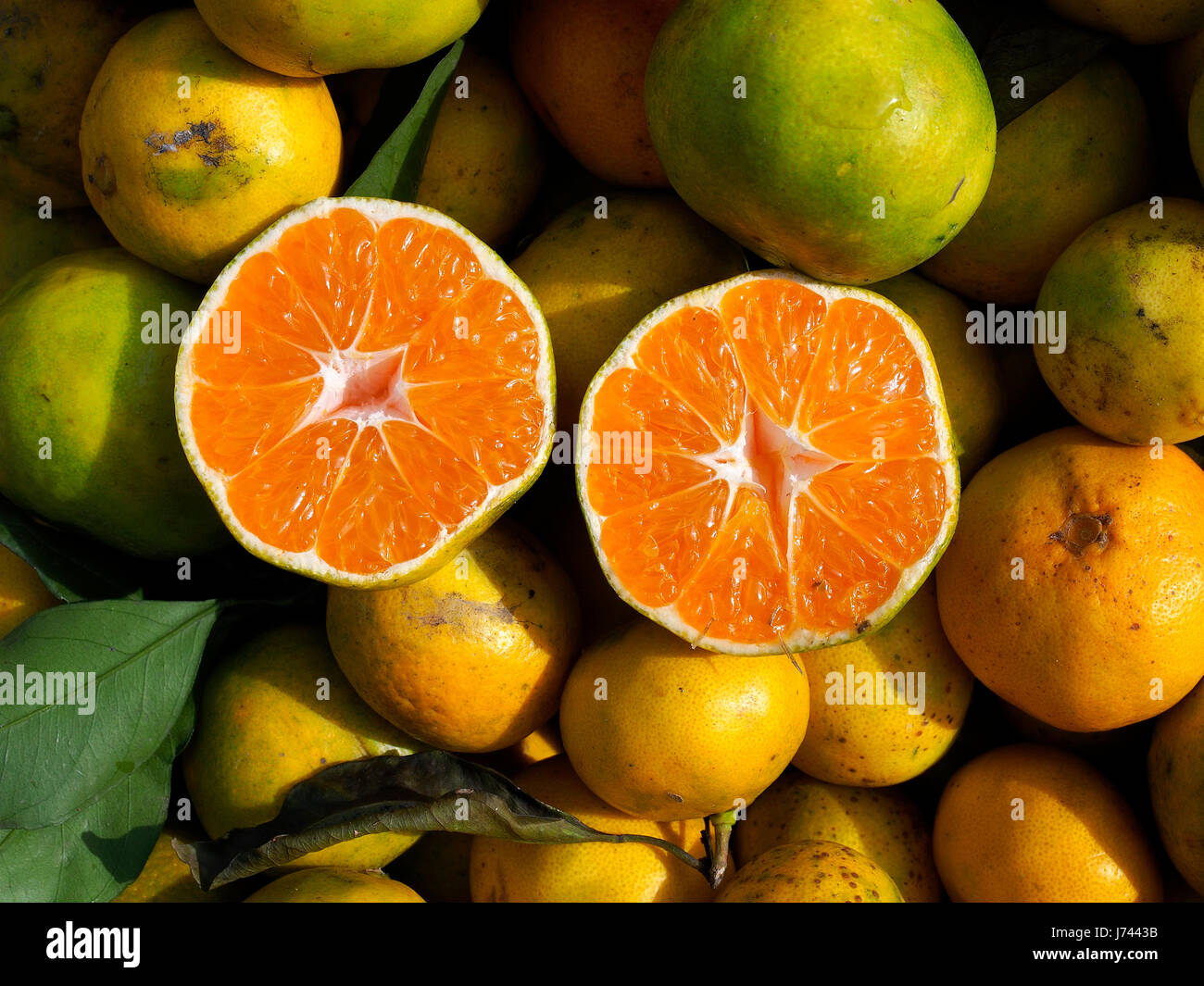 Frutta. Tagliare il mandarino su un cavalletto. Foto Stock