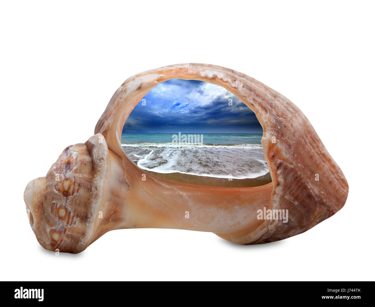 Spiaggia del mare durante la marea attraverso rotte rapana shell. Isolato su sfondo bianco. Foto Stock