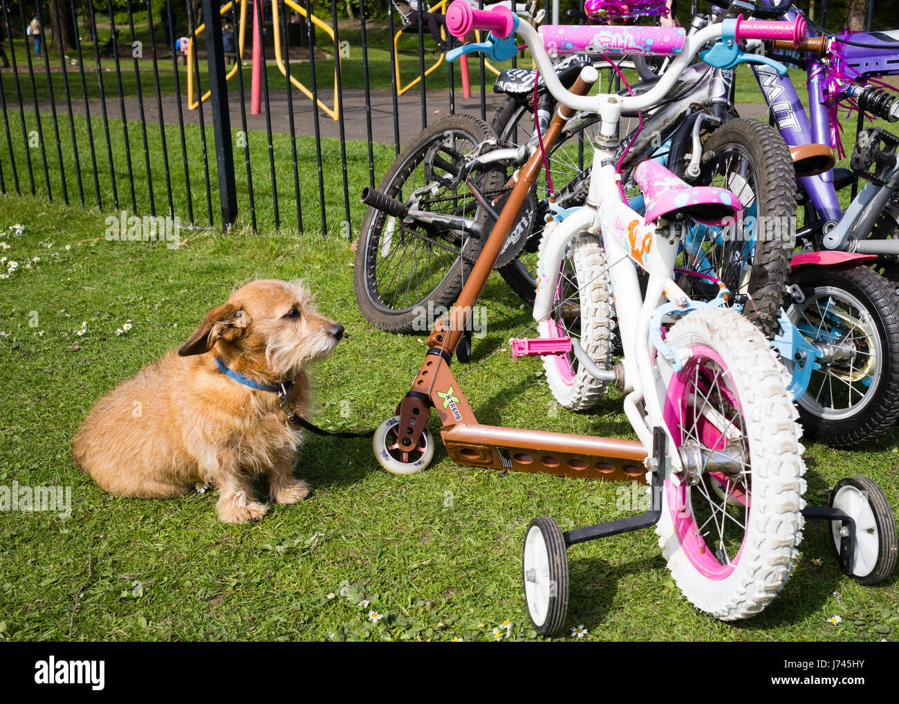 Guardia al di fuori del parco giochi per bambini nel Parco di Rowntree, città di York, England, Regno Unito Foto Stock